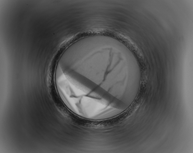 X0000086750640200705111656