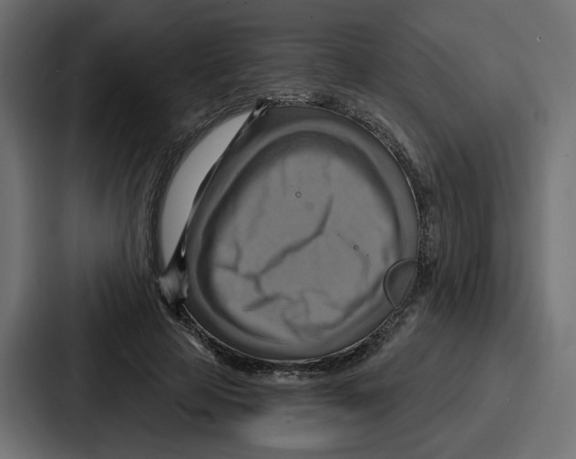 X0000086750641200705111656