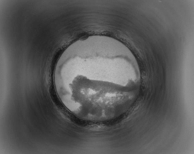 X0000086750642200705111656