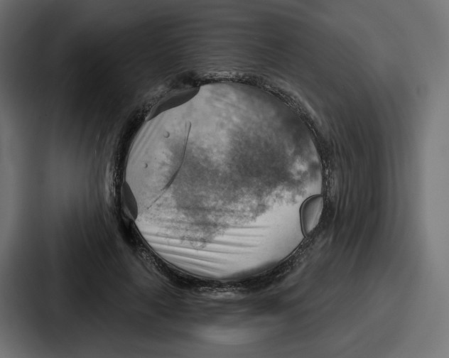 X0000086750643200705111656