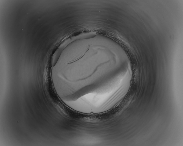 X0000086750644200705111656