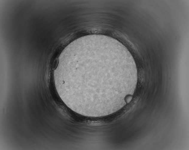 X0000086750645200705111656