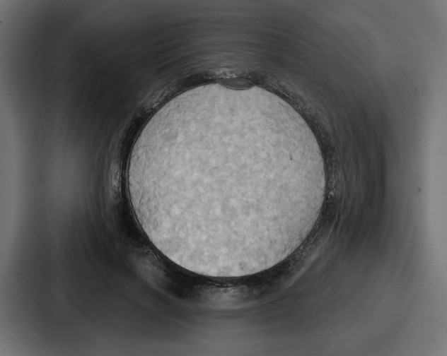 X0000086750646200705111656