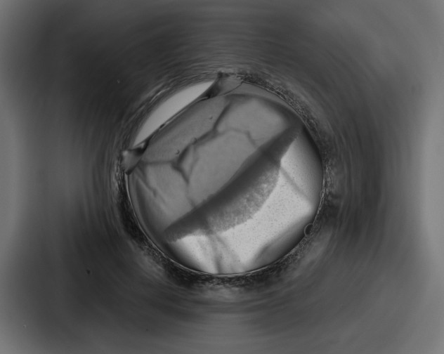 X0000086750648200705111656