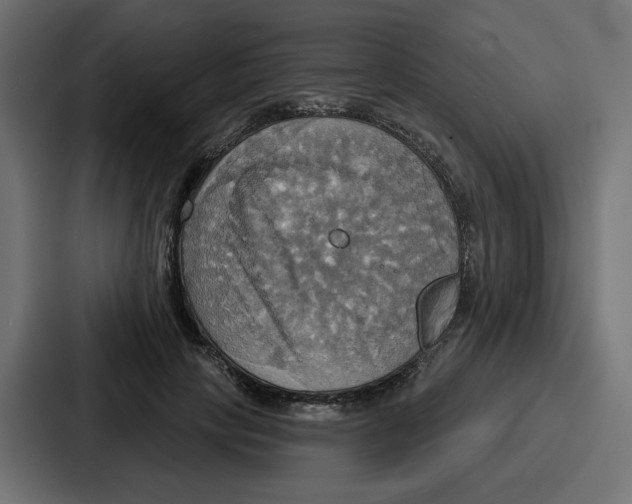 X0000086750649200705111656