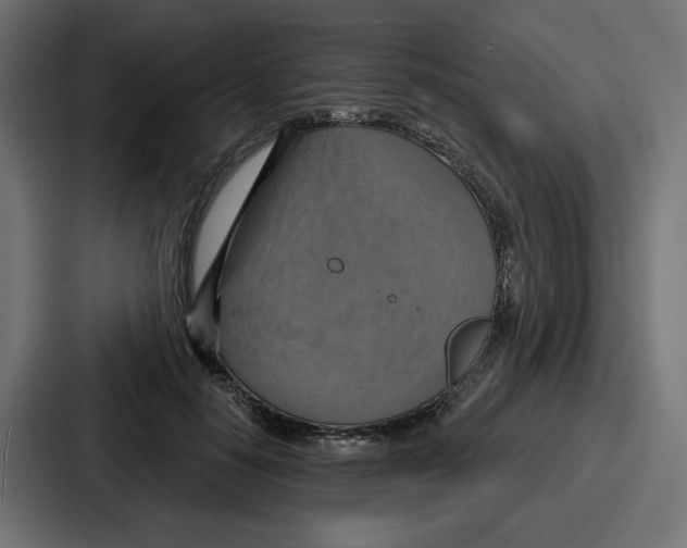 X0000086750650200705111656