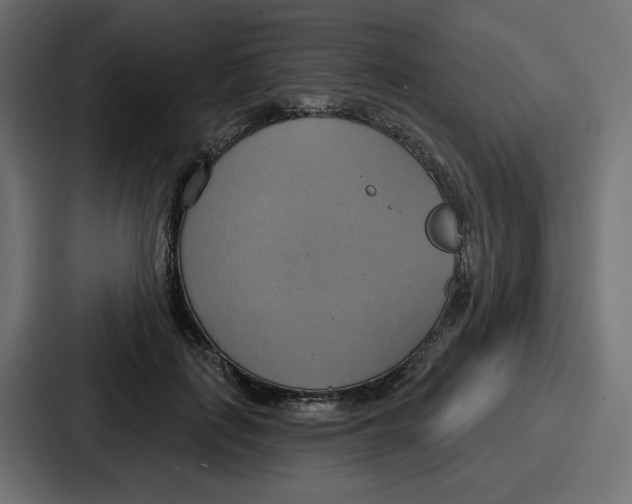 X0000086750651200705111656