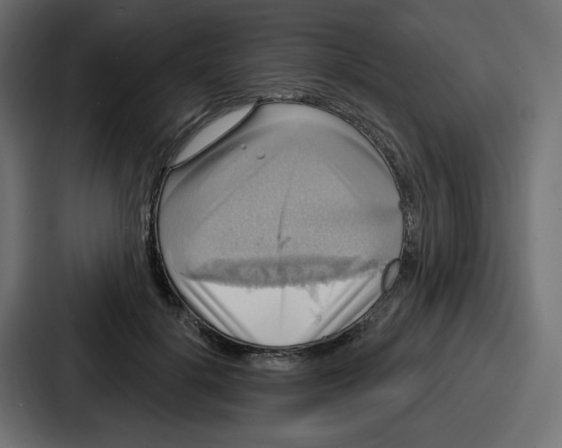 X0000086750652200705111656