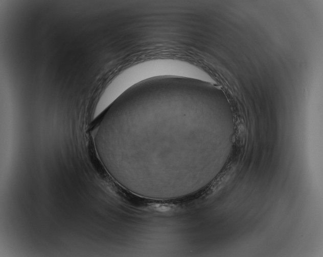X0000086750654200705111656