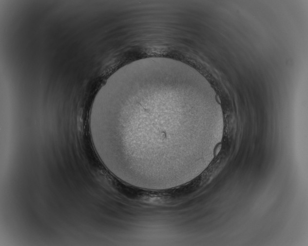 X0000086750655200705111656