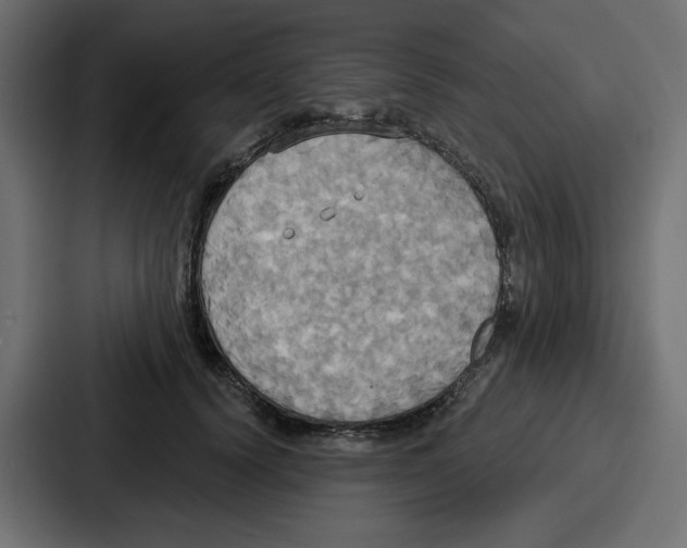 X0000086750656200705111656