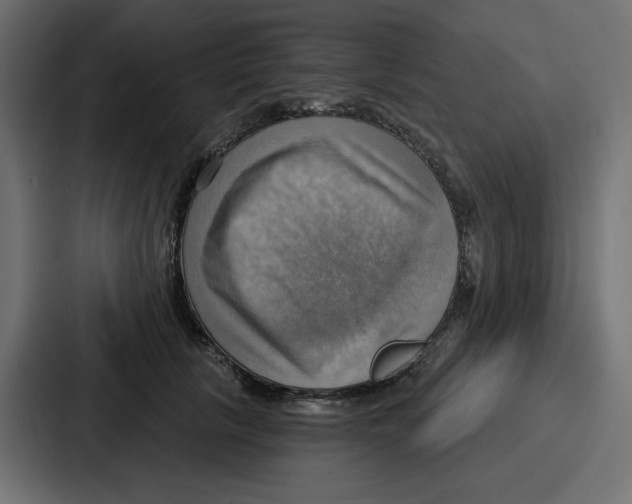 X0000086750657200705111656
