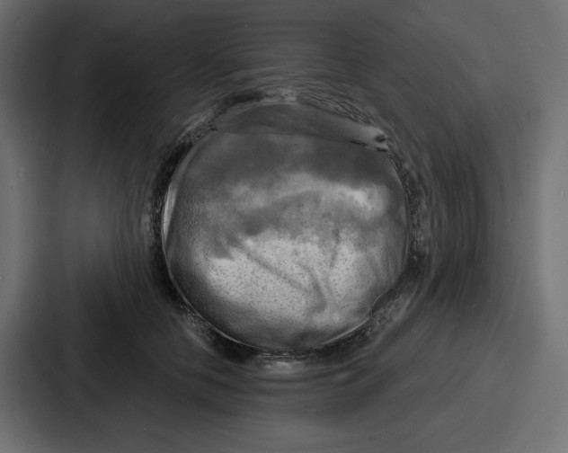 X0000086750658200705111656