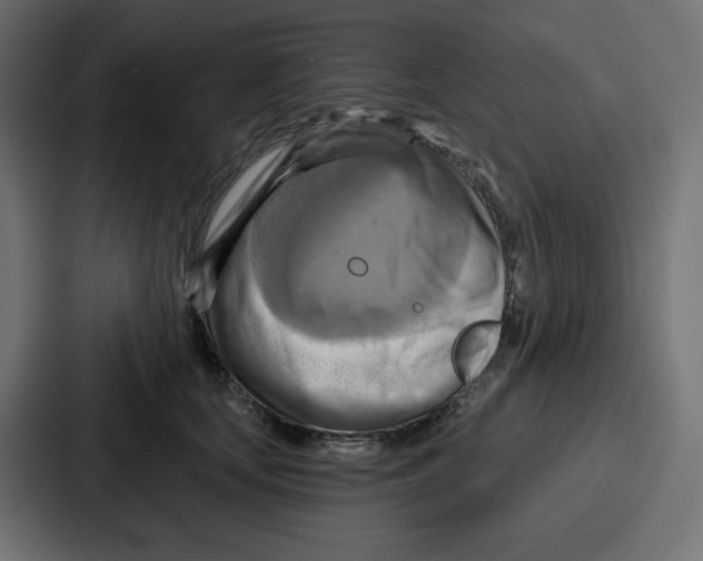X0000086750659200705111656
