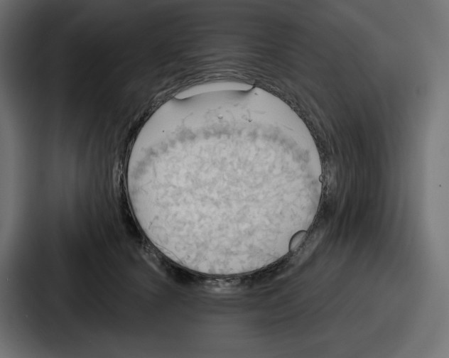 X0000086750660200705111656