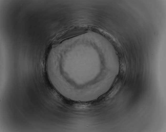 X0000086750661200705111656