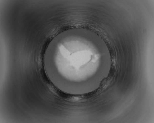 X0000086750662200705111656
