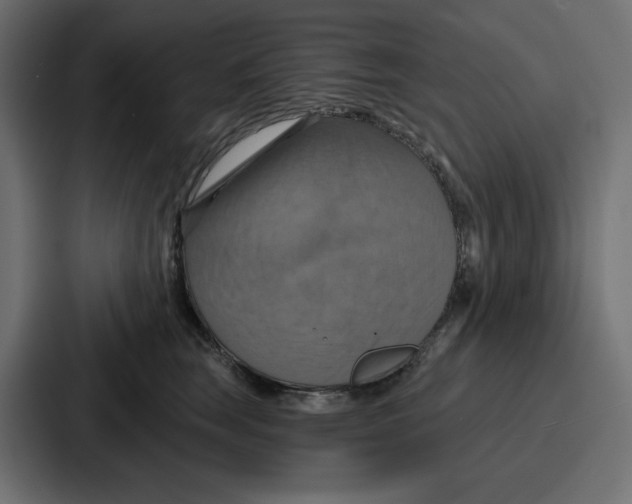 X0000086750663200705111656
