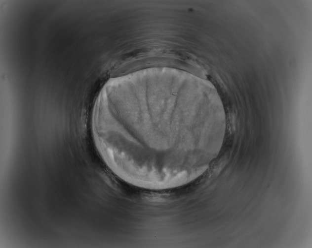 X0000086750664200705111656