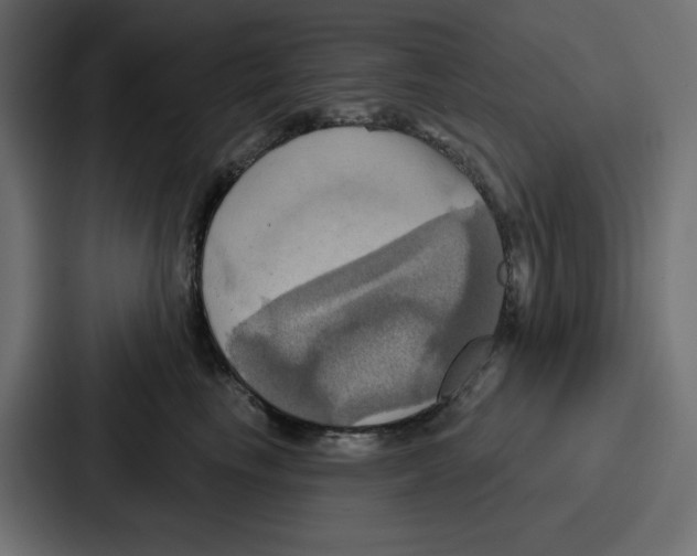 X0000086750665200705111656