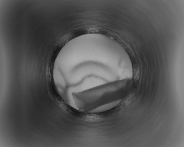 X0000086750666200705111656