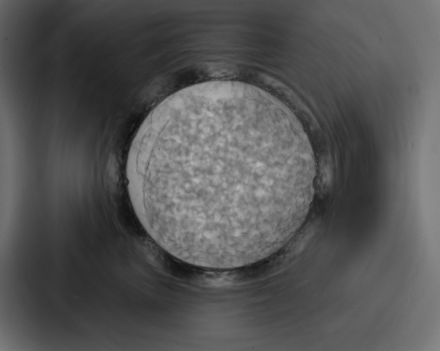 X0000086750667200705111656