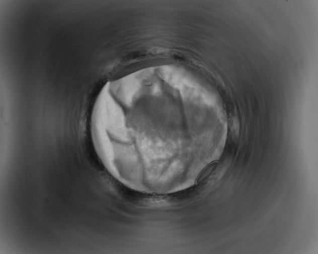 X0000086750668200705111656