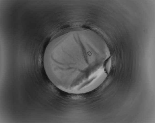 X0000086750669200705111656