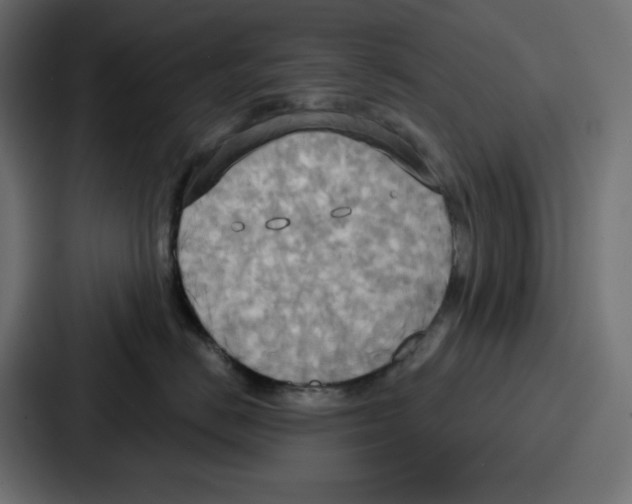 X0000086750670200705111656