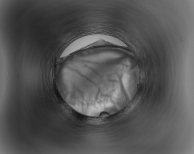 X0000086750671200705111656