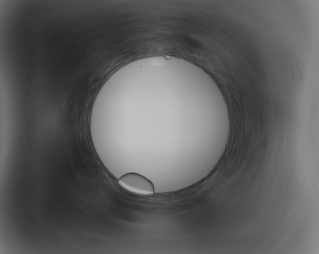 X0000086750672200705111656