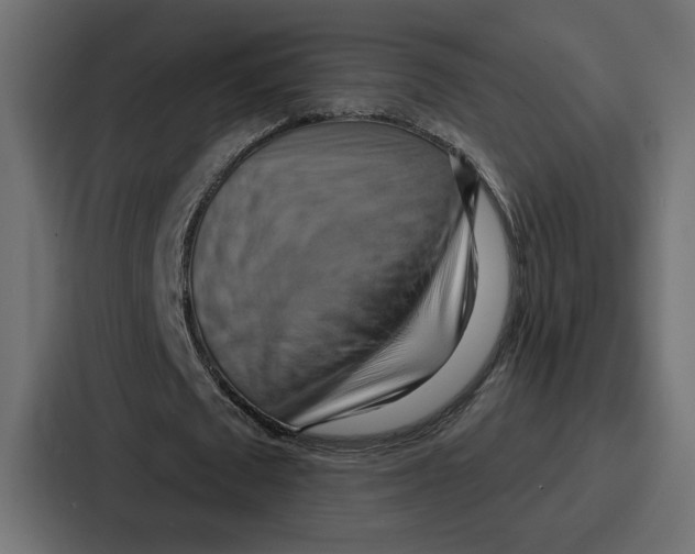 X0000086750673200705111655