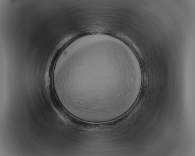 X0000086750674200705111655