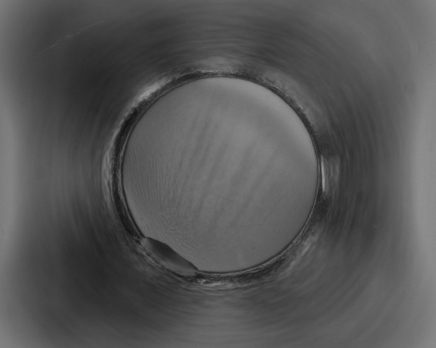 X0000086750675200705111655
