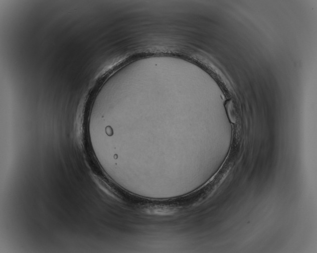 X0000086750677200705111655
