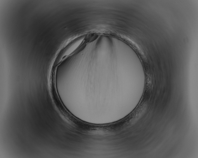 X0000086750678200705111655