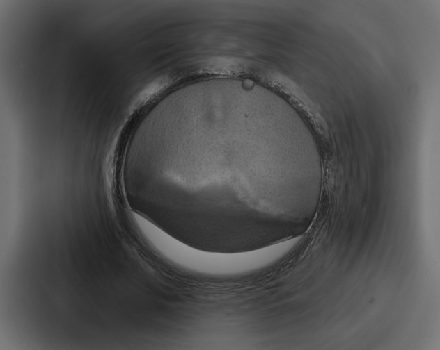 X0000086750679200705111655