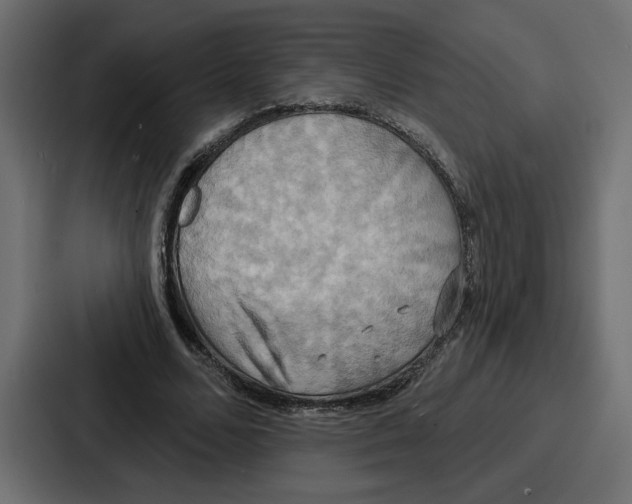 X0000086750680200705111655