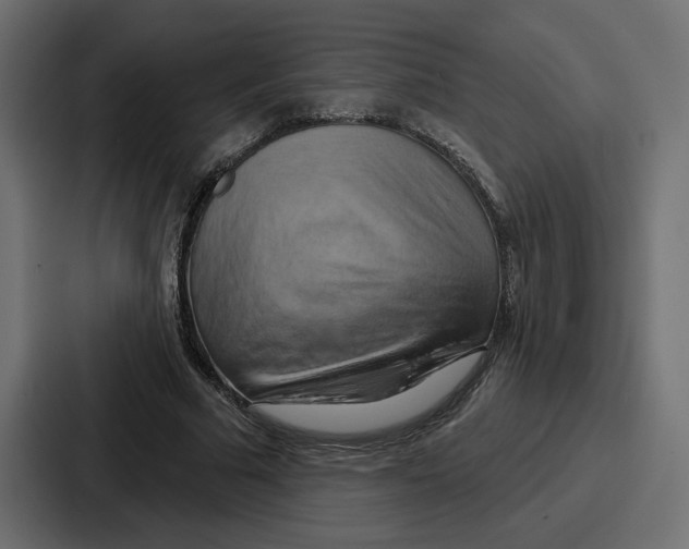X0000086750681200705111655