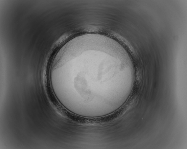 X0000086750682200705111655
