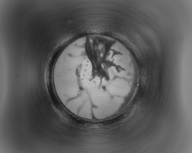 X0000086750683200705111655