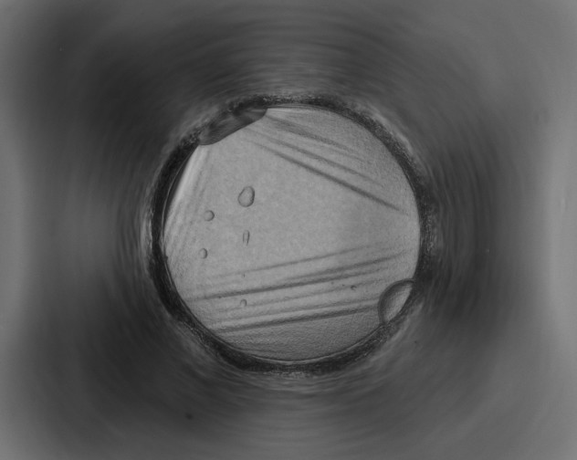X0000086750685200705111655