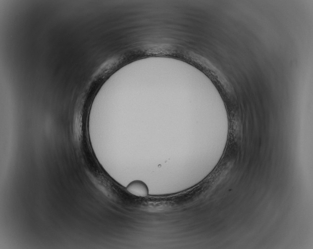 X0000086750686200705111655