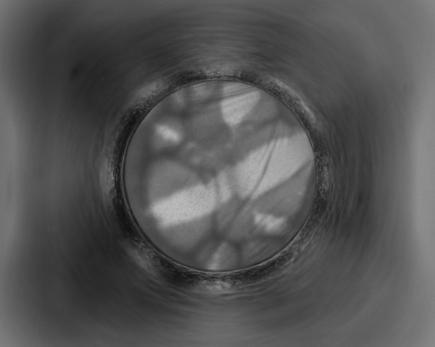 X0000086750687200705111655