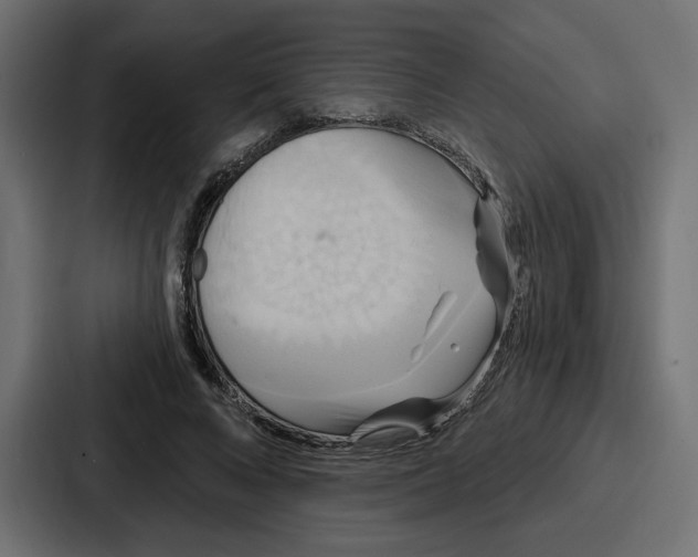 X0000086750688200705111655