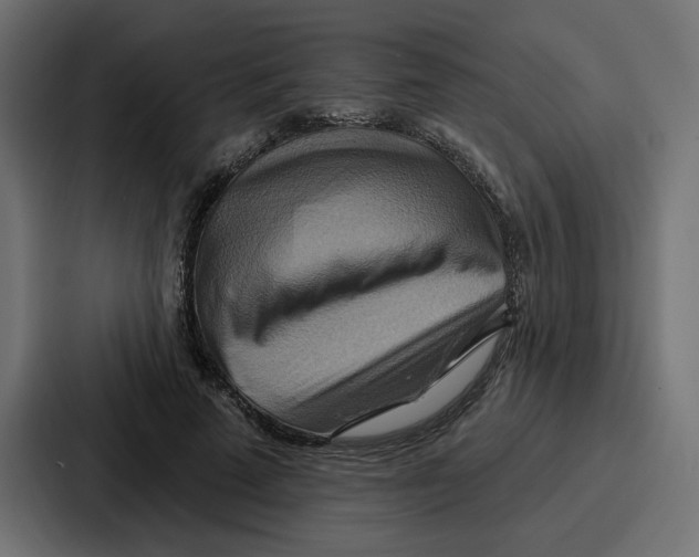 X0000086750689200705111655