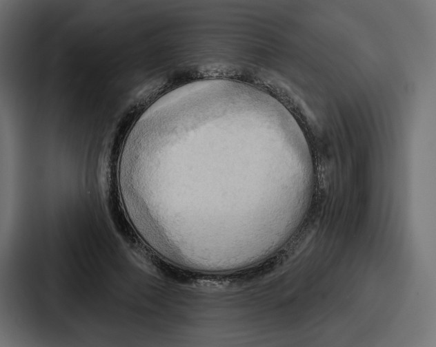 X0000086750690200705111655