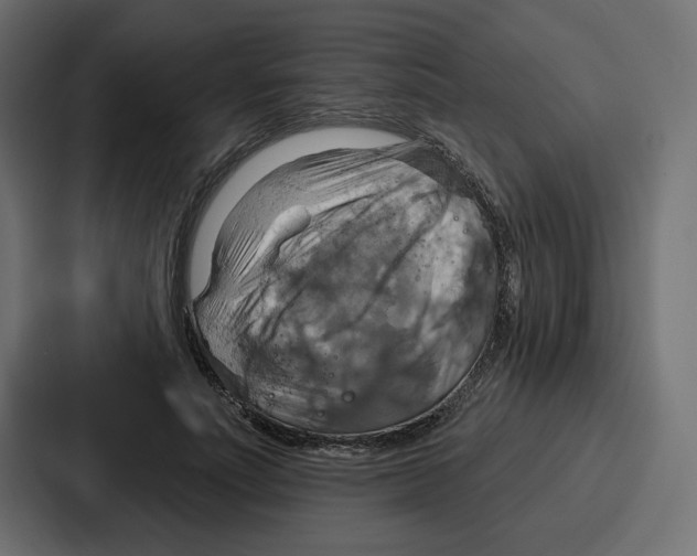 X0000086750691200705111655