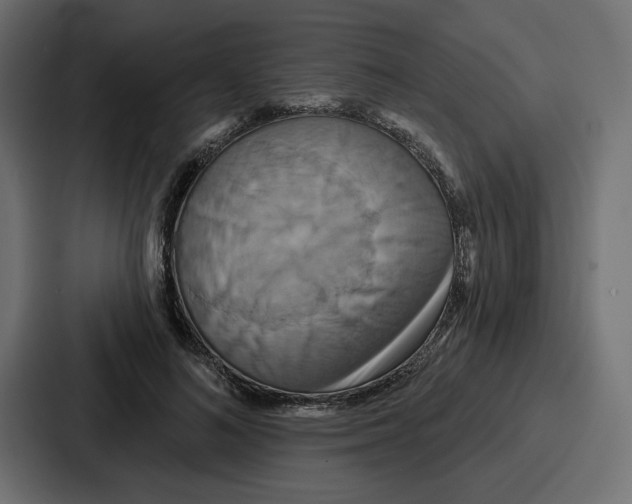 X0000086750692200705111655