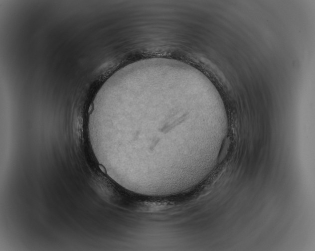 X0000086750693200705111655
